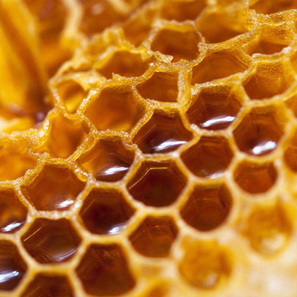 Natural produce closeup